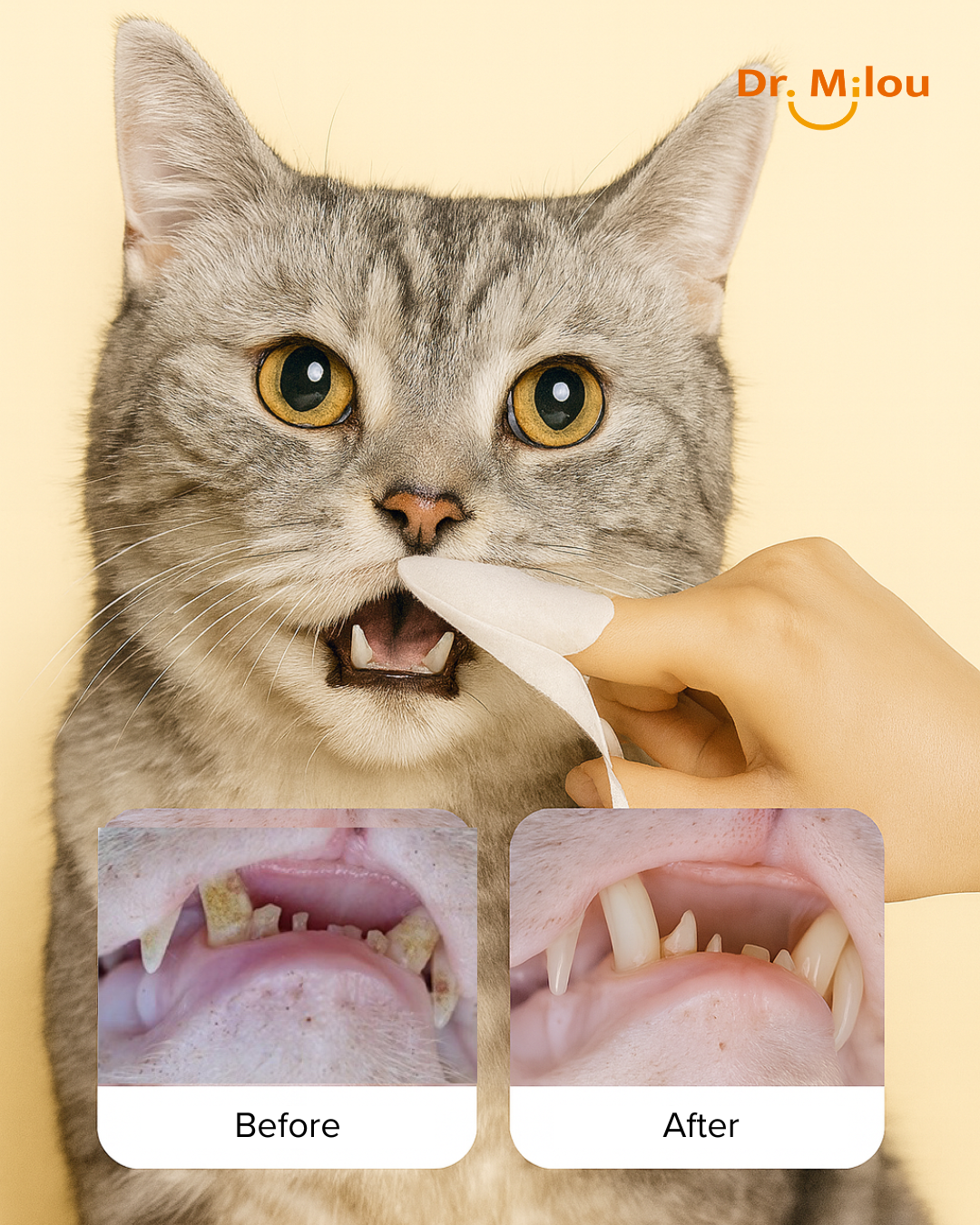 Dr. Milou Pet Dental Finger Wipes – Daily Oral Care for Dogs & Cats
